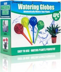 Merkloos Decopatent® 4 Stuks - Waterdruppelaar Voor Planten - Watergever - Glas - Waterbollen - Watergeefsysteem - Plantenbollen - Groen 14 Merkloos Decopatent® 4 Stuks - Waterdruppelaar Voor Planten - Watergever - Glas - Waterbollen - Watergeefsysteem - Plantenbollen - Groen -Tuin- En Buitenwinkels 1029x1200 2