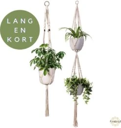 Plantenhanger Macrame Set Van 2 - Plantenhanger Met Ruimte Voor 3 Potten - Luxe Gevlochten Touw 100% Katoen - Duurzaam - Plantenbakken - Bloempotten - Macramé Stijl Hanger Voor Bloempotten - Hangpot - Fienosa -Tuin- En Buitenwinkels 1131x1200 8