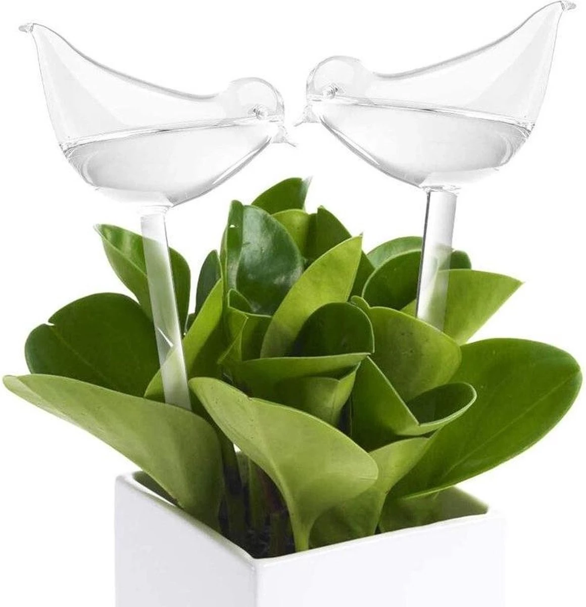 Luxe Planten Waterdruppelaar - Waterbol Vogel - Watergever - Watergeefsysteem Voor Planten & Bloemen - 200ML - Set Van 2 5 Luxe Planten Waterdruppelaar - Waterbol Vogel - Watergever - Watergeefsysteem Voor Planten & Bloemen - 200ML - Set Van 2 - Afbeelding 3