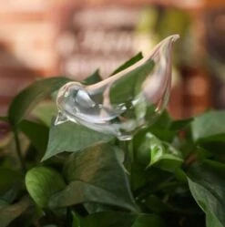 Waterdruppelaar Planten - Vorm Vogel - Set Van 3 Kunststof Druppelaars - 25cm Lengte - Genoeg Water Tijdens Je Vakantie -Tuin- En Buitenwinkels 1190x1200 4