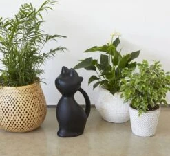 Balvi Meow! Kat Gieter - Zwart -Tuin- En Buitenwinkels 1200x1103 4