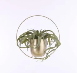 Mica Decorations Dexter Bloempot Wand - L34 X B14 X H34 Cm - Goud 12 Mica Decorations Dexter Bloempot Wand - L34 X B14 X H34 Cm - Goud -Tuin- En Buitenwinkels 1200x1137 6