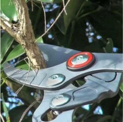 WOLF-Garten Takkenschaar POWER CUT RR*** 900 T - Lengte 650-900mm - Telescoop - Aluminium Hefboomarmen - 4x Meer Kracht - Messpanning Instelbaar -Tuin- En Buitenwinkels 1200x1194 3