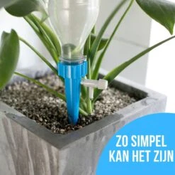 12 Stuks Plant Bewateringssysteem | Waterdruppelaar | Druppelsysteem |Bewateringssysteem | Bewateringsyteem Watergeefsysteem | Plantenbol | Automatische Gieter | Water Druppelaar | Druppel Systeem | Water Geef Systeem | Plantenbol | -Tuin- En Buitenwinkels 1200x1196 6
