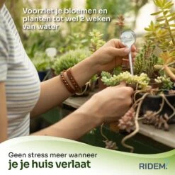 Waterdruppelaar Voor Planten - Irrigatiesysteem- Waterbol - Druppelsysteem - Watergeefsysteem Voor Kamerplanten - Plantenwatergever -6 Stuks - Transparant -Tuin- En Buitenwinkels 1200x1198 19
