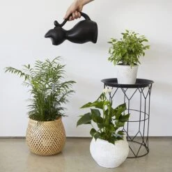 Balvi Meow! Kat Gieter - Zwart -Tuin- En Buitenwinkels 1200x1200 1103