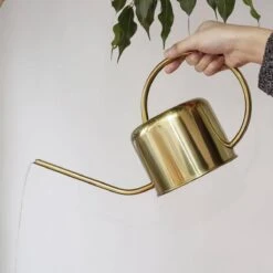 Kikkerland Vintage Gieter - Plantengieter Voor Binnen - Goud - 1,2L - Retro - Metaal -Tuin- En Buitenwinkels 1200x1200 1141