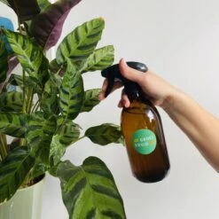 Groeikruid® Plantenspuit | 500 Ml Amber Glas | Met Zwarte Spraykop | Plantensproeier Binnen | Waterverstuiver | Verstuiver | Waterspuit -Tuin- En Buitenwinkels 1200x1200 1169