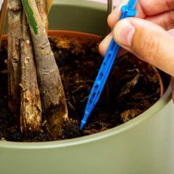 Woonaccessoires- Automatisch Watergeef Systeem | Plantenwaterer - Life Support Irrigatieapparaat | Druppelaar Kamerplanten - | Planten Watergever Met Druppelsysteem 350ml -Tuin- En Buitenwinkels 1200x1200 1183