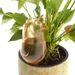 JS Drippy - Waterdruppelaars Set Van 2 Stuks - Druppelaar Vogel - Druppelsysteem Planten - Watergeefsysteem Kamerplanten - Waterbol - Roze -Tuin- En Buitenwinkels 1200x1200 1194