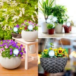 Druppelsysteem 12 Stuks Waterdruppelaar Voor Planten - Waterafgiftesysteem Voor 2 Weken - Beregening Voor Kamerplanten 15 Druppelsysteem 12 Stuks Waterdruppelaar Voor Planten - Waterafgiftesysteem Voor 2 Weken - Beregening Voor Kamerplanten -Tuin- En Buitenwinkels 1200x1200 1204