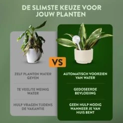 STFF & Co® Waterdruppelaar Voor Planten – Irrigatiesysteem Automatisch Watergeefsysteem – Waterbollen Voor Planten – Bewateringssysteem – 8 Stuks - 5cm -Tuin- En Buitenwinkels 1200x1200 1208