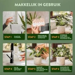 STFF & Co® Waterdruppelaar Voor Planten – Irrigatiesysteem Automatisch Watergeefsysteem – Waterbollen Voor Planten – Bewateringssysteem – 8 Stuks - 5cm -Tuin- En Buitenwinkels 1200x1200 1209