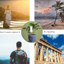 BOTC Waterdruppelaar Set Van 6 Stuks Voor Planten - Watergeefsysteem 18 BOTC Waterdruppelaar Set Van 6 Stuks Voor Planten - Watergeefsysteem -Tuin- En Buitenwinkels 1200x1200 1223