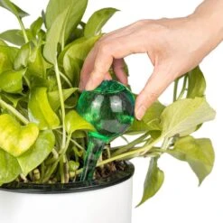 Merkloos Decopatent® 4 Stuks - Waterdruppelaar Voor Planten - Watergever - Glas - Waterbollen - Watergeefsysteem - Plantenbollen - Groen 21 Merkloos Decopatent® 4 Stuks - Waterdruppelaar Voor Planten - Watergever - Glas - Waterbollen - Watergeefsysteem - Plantenbollen - Groen -Tuin- En Buitenwinkels 1200x1200 1231