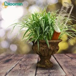 Bloomin Waterdruppelaar Van Terracotta - Waterdruppelaar Voor Planten - Druppelsysteem - Irrigatiesysteem - Watergeefsysteem - Bewateringssysteem - 8 Stuks -Tuin- En Buitenwinkels 1200x1200 1233