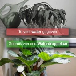 Waterdruppelaar Set Van 6 Stuks - Waterdruppelaar Voor Planten - Watergeefsysteem - Waterbol Irrigatiesysteem - Automatisch Druppelsysteem Voor Kamerplanten & Tuin - Watergever - Doorzichtig - 15cm -Tuin- En Buitenwinkels 1200x1200 1237
