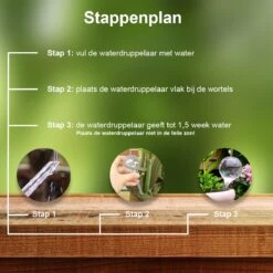 Waterdruppelaar Set Van 6 Stuks - Waterdruppelaar Voor Planten - Watergeefsysteem - Waterbol Irrigatiesysteem - Automatisch Druppelsysteem Voor Kamerplanten & Tuin - Watergever - Doorzichtig - 15cm -Tuin- En Buitenwinkels 1200x1200 1238