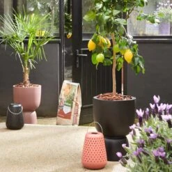 Elho Pure Coupe 35 - Bloempot Voor Binnen & Buiten - Ø 34.9 X H 49.0 Cm - Zwart/Zwart -Tuin- En Buitenwinkels 1200x1200 1411