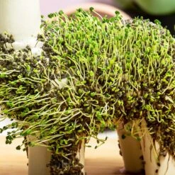 Gift Republic Lama Bloempot Met Zaadjes -Tuin- En Buitenwinkels 1200x1200 1412