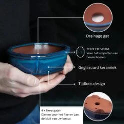 Happy Seed Keramieken Bonsai Pot (schaal) - Marine Blauw - Geglazuurd -Tuin- En Buitenwinkels 1200x1200 1418