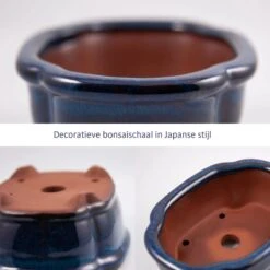 Happy Seed Keramieken Bonsai Pot (schaal) - Marine Blauw - Geglazuurd -Tuin- En Buitenwinkels 1200x1200 1419