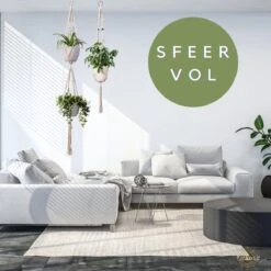 Plantenhanger Macrame Set Van 2 - Plantenhanger Met Ruimte Voor 3 Potten - Luxe Gevlochten Touw 100% Katoen - Duurzaam - Plantenbakken - Bloempotten - Macramé Stijl Hanger Voor Bloempotten - Hangpot - Fienosa -Tuin- En Buitenwinkels 1200x1200 1426