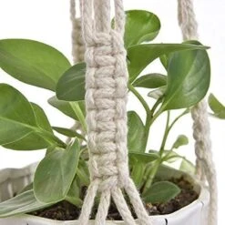 4 Stuks Plantenhangers - Boho Handgeweven Katoen Hangpot Voor Binnen/Buiten - Bloempot Met Kralen - Macramé Touw/Koord Hangplant Houder - Bohemian Wandhanger Decoratie - Verticale Tuin Plant Hanger Bloempothouder Planthanger Wit -Tuin- En Buitenwinkels 1200x1200 1438