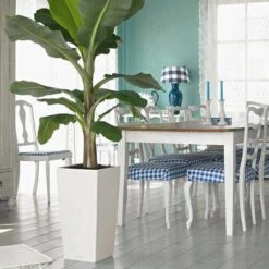 Prosperplast Kunststof Urbi Bloempot/plantenpot Met Binnenpot Wit 32 X 32 X 61 Cm - 21/49 Liter - Hoge Vierkante Bloempotten -Tuin- En Buitenwinkels 1200x1200 1444