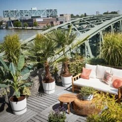 Elho Greenville Rond 30 - Grote Bloempot Voor Buiten - Gemaakt Van Gereycled Plastic - Ø 29.5 X H 27.8 Cm - Living Black -Tuin- En Buitenwinkels 1200x1200 1448