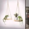Merkloos Plantenhanger Boomstam Schijf | 30-35cm | Handgemaakt | Planten-houder / Hang-plant | Planten Accessoires | Decoratie Houten Hang Plank | -Tuin- En Buitenwinkels 1200x1200 1459