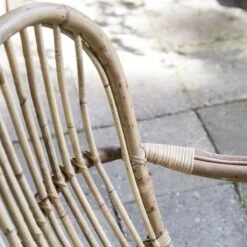 Tuin- En Buitenwinkels -Tuin- En Buitenwinkels 1200x1200 256