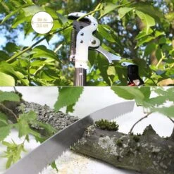 Iceberk Snoeischaar + Snoeizaag (1,45 - 3,70 M) - Telescopische Snoeischaar Voor Het Snoeien Van Bomen En Dichte Struiken Zonder Ladder 12 Iceberk Snoeischaar + Snoeizaag (1,45 - 3,70 M) - Telescopische Snoeischaar Voor Het Snoeien Van Bomen En Dichte Struiken Zonder Ladder -Tuin- En Buitenwinkels 1200x1200 814