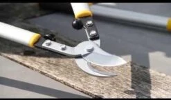 Hendrik Jan - Takkenschaar - Aluminium - Aambeeld - 62 Cm -Tuin- En Buitenwinkels 1200x704 2