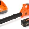 TIMBERPRO - Bladblazer Elektrisch 40V, ZEER Krachtig (incl. 4A Batterij En Incl. Lader) -Tuin- En Buitenwinkels 1200x738 3