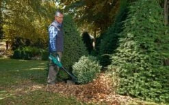 Bosch ALB 36 LI - Bladblazer - Met 36 V Accu En Lader -Tuin- En Buitenwinkels 1200x747 1