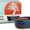 Happy Seed Keramieken Bonsai Pot (schaal) - Marine Blauw - Geglazuurd -Tuin- En Buitenwinkels 1200x779 3