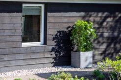 Capi Europe - Bloempot Vierkant Rib NL - 30x30x30 - Zwart - Voor Binnen En Buiten - KBLR902 -Tuin- En Buitenwinkels 1200x799 158