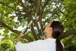 Gardena EasyCut 500 Takkenschaar -Tuin- En Buitenwinkels 1200x799 41