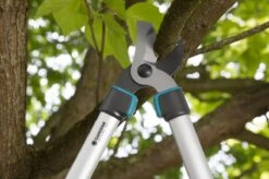 GARDENA - TeleCut Telescopische - Takkenschaar 520-670B - 42 Mm Verstelbare Lengte -Tuin- En Buitenwinkels 1200x799 82