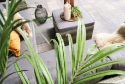 Fonteyn | Loungeset Connor | Melange -Tuin- En Buitenwinkels 1200x800 177