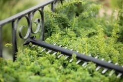 Bosch UniversalHedgeCut 18-55 Heggenschaar - Zonder 18V Accu En Oplader -Tuin- En Buitenwinkels 1200x800 243