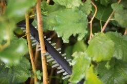 Bosch UniversalHedgeCut 18-55 Heggenschaar - Zonder 18V Accu En Oplader -Tuin- En Buitenwinkels 1200x800 246