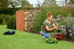 Bosch Indego S+ 500 Robotmaaier - Voor Gazons Tot 500 M2 - Incl. Laadstation En Accessoires - Connected -Tuin- En Buitenwinkels 1200x800 341