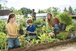 GARDENA Combisystem Bladharkje - Werkbreedte 12 Cm - 25 Jaar Garantie -Tuin- En Buitenwinkels 1200x800 372