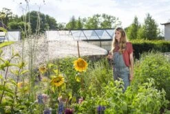 GARDENA - Comfort Broeskop - 5 Straalsoorten - Grijs -Tuin- En Buitenwinkels 1200x800 384