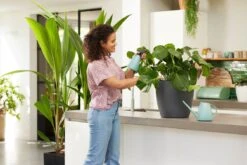 Elho Brussels Gieter 1,8l - Gieter Voor Binnenkweken En Oogsten - Ø 33.0 X H 17.0 Cm - Groen/Mint -Tuin- En Buitenwinkels 1200x800 425