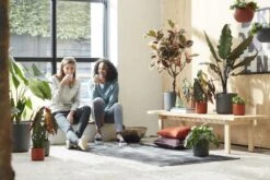 Elho B.for Soft Rond 35 - Bloempot Voor Binnen - Ø 34.5 X H 32.3 Cm - Antraciet -Tuin- En Buitenwinkels 1200x800 447