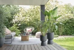 Elho Pure Coupe 35 - Bloempot Voor Binnen & Buiten - Ø 34.9 X H 49.0 Cm - Zwart/Zwart -Tuin- En Buitenwinkels 1200x805 7