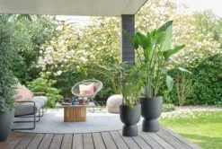 Elho Pure Coupe 35 - Bloempot Voor Binnen & Buiten - Ø 34.9 X H 49.0 Cm - Zwart/Zwart -Tuin- En Buitenwinkels 1200x805 8